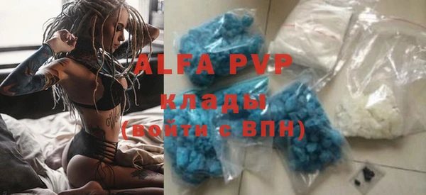 прущие грибы Бронницы