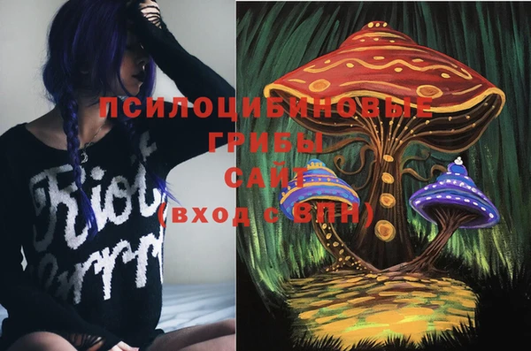 соль ск Корсаков