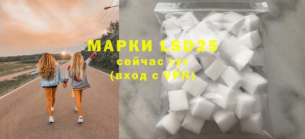 прущие грибы Бронницы