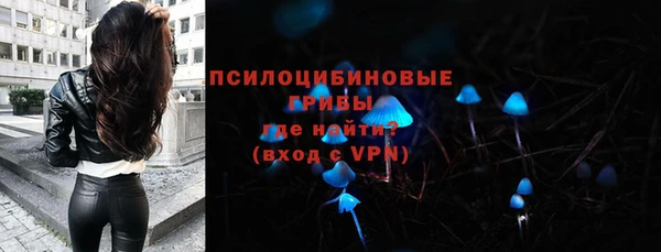 PSILOCYBIN Волосово