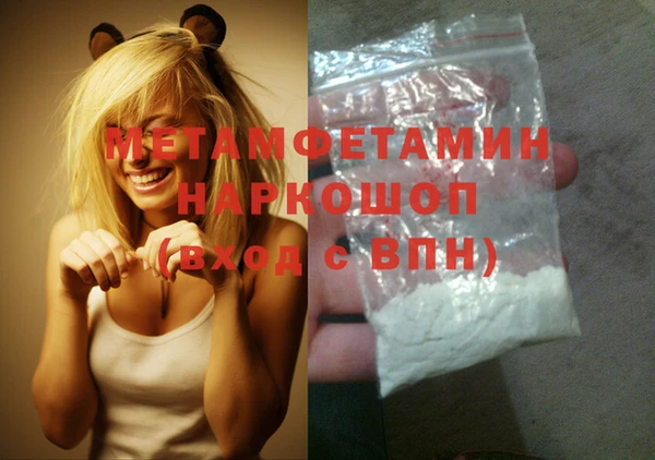 прущие грибы Бронницы