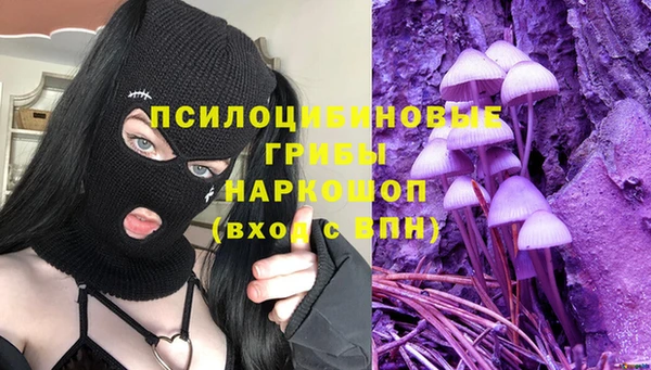 гашик Верхний Тагил