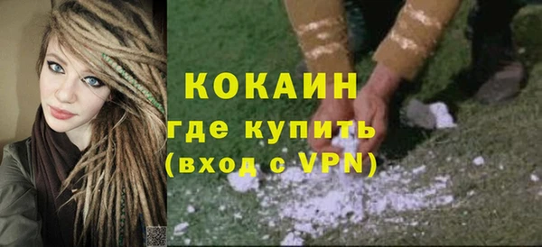 прущие грибы Бронницы