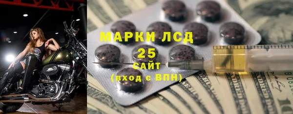 spice Богородск