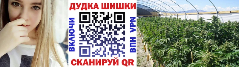 Бошки марихуана VHQ  цена наркотик  Знаменск 